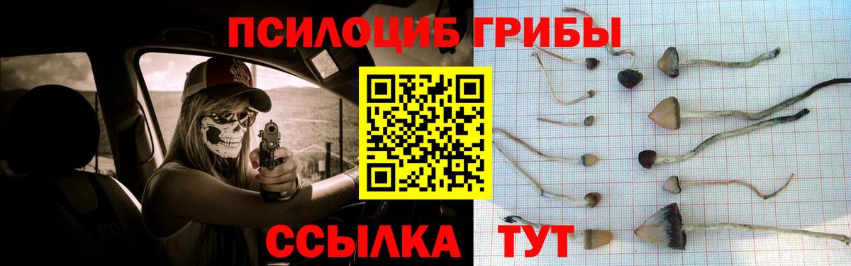 Псилоцибиновые грибы ЛСД Сальск